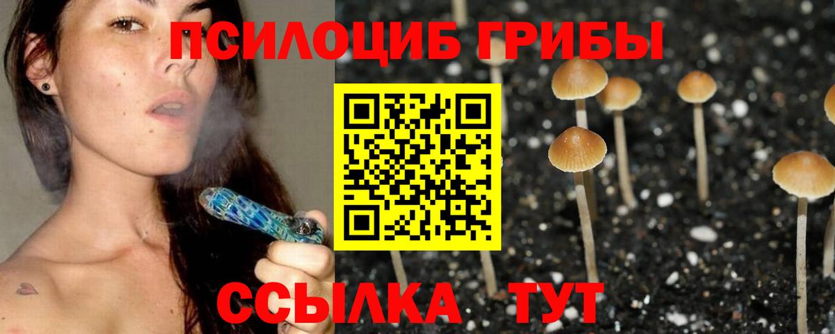 Псилоцибиновые грибы мухоморы  Галлюциногенные грибы Cubensis  Вход с VPN  купить закладку  Новочеркасск 